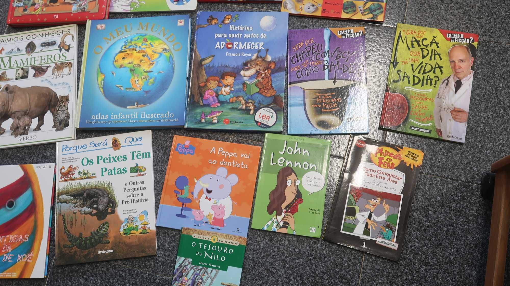 Conjunto 15 livros juvenis