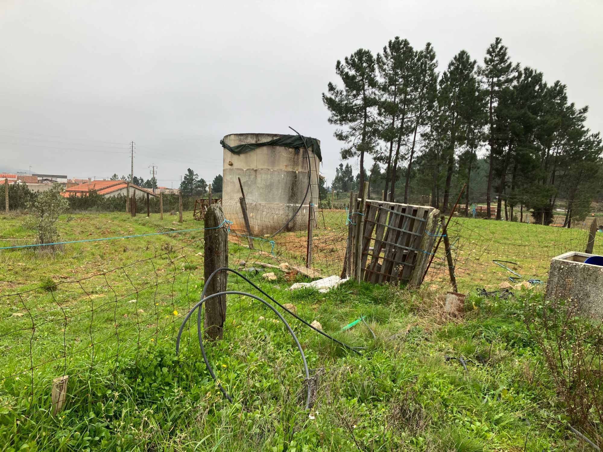 Quinta para venda em Envendos (Mação)