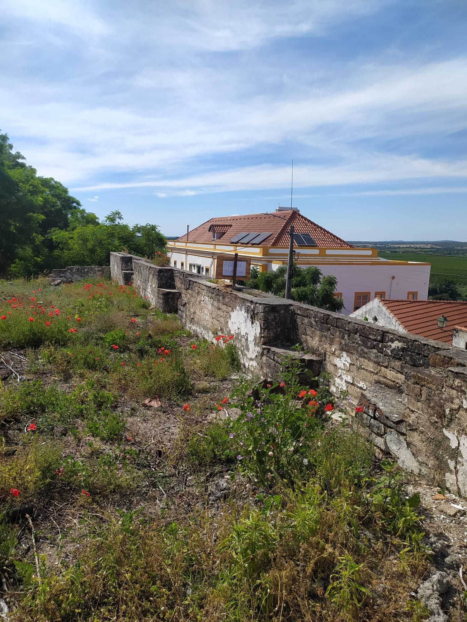 Terreno com potencial em Mora