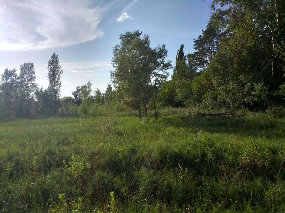 Гостомель. Фасадна ділянка біля траси. Земля під комерцію - 51 сотка.