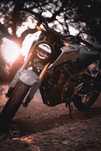 Honda CB125r 2021