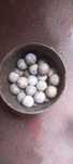 Bolas de golfe usadas