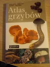 Atlas grzybów praca zbiorowa Pavol Skubla