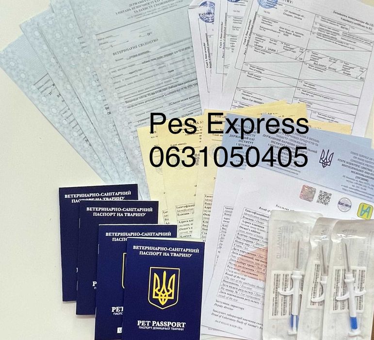 Документы животным заграницу (паспорт, титры, форма 1)