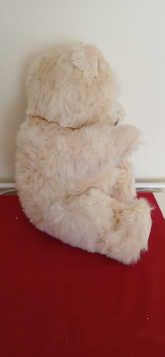 Peluche/urso guarda -pijama