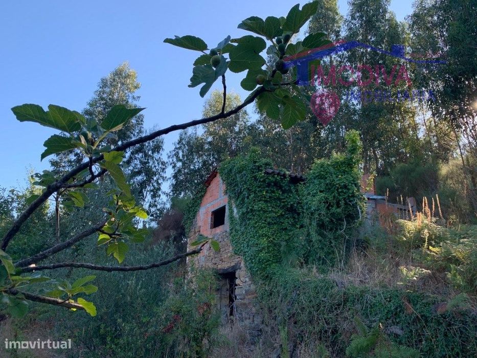 Casa de pedra com terreno de 5000m2