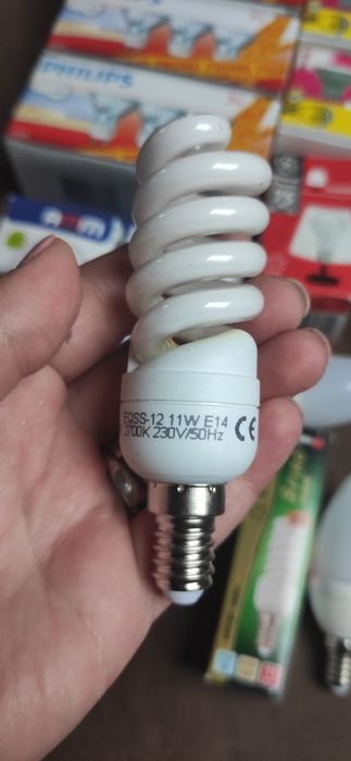 Zestaw różnych żarówek