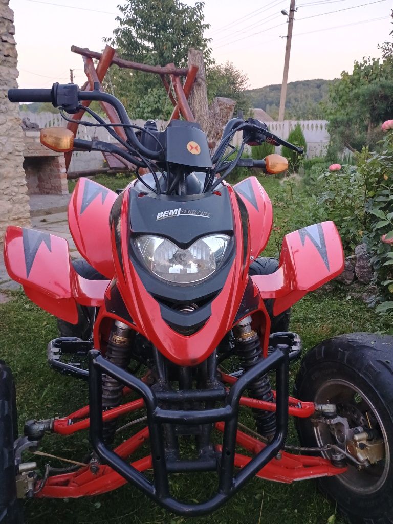 Квадроцикл шінерай 250
