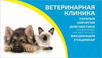 Ветеринарная клиника "Profi-VET" Вышгород, Ветеринар