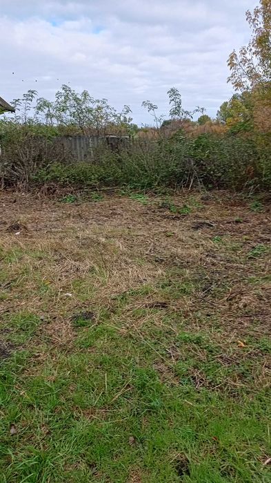 продам не дорого хату в селі шпендівка з великою ділянкою землі