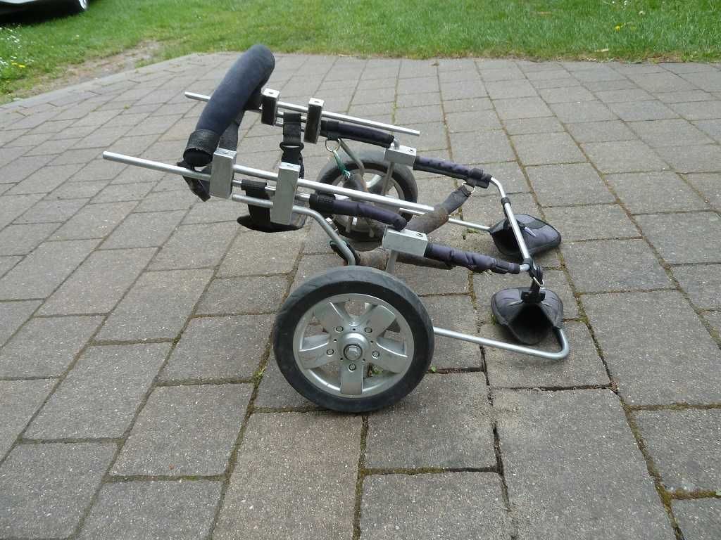 Wózek inwalidzki  dla psa