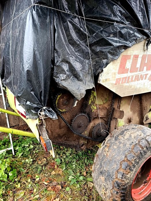 Sprzedam prase Claas Rollant 46