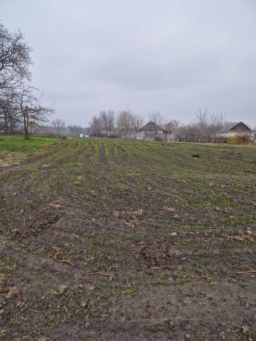 Продається земельна ділянка. Хмельницька область, с. Немирівка