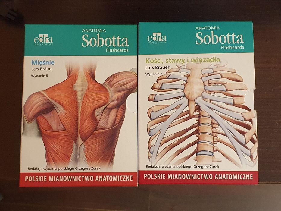 Anatomia Sobotta Flashcards Kości + Mięśnie polskie mianownictwo