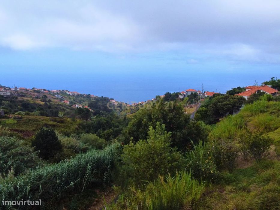 Terreno Rústico nas Faias, Arco da Calheta - Oportunidade Única!
