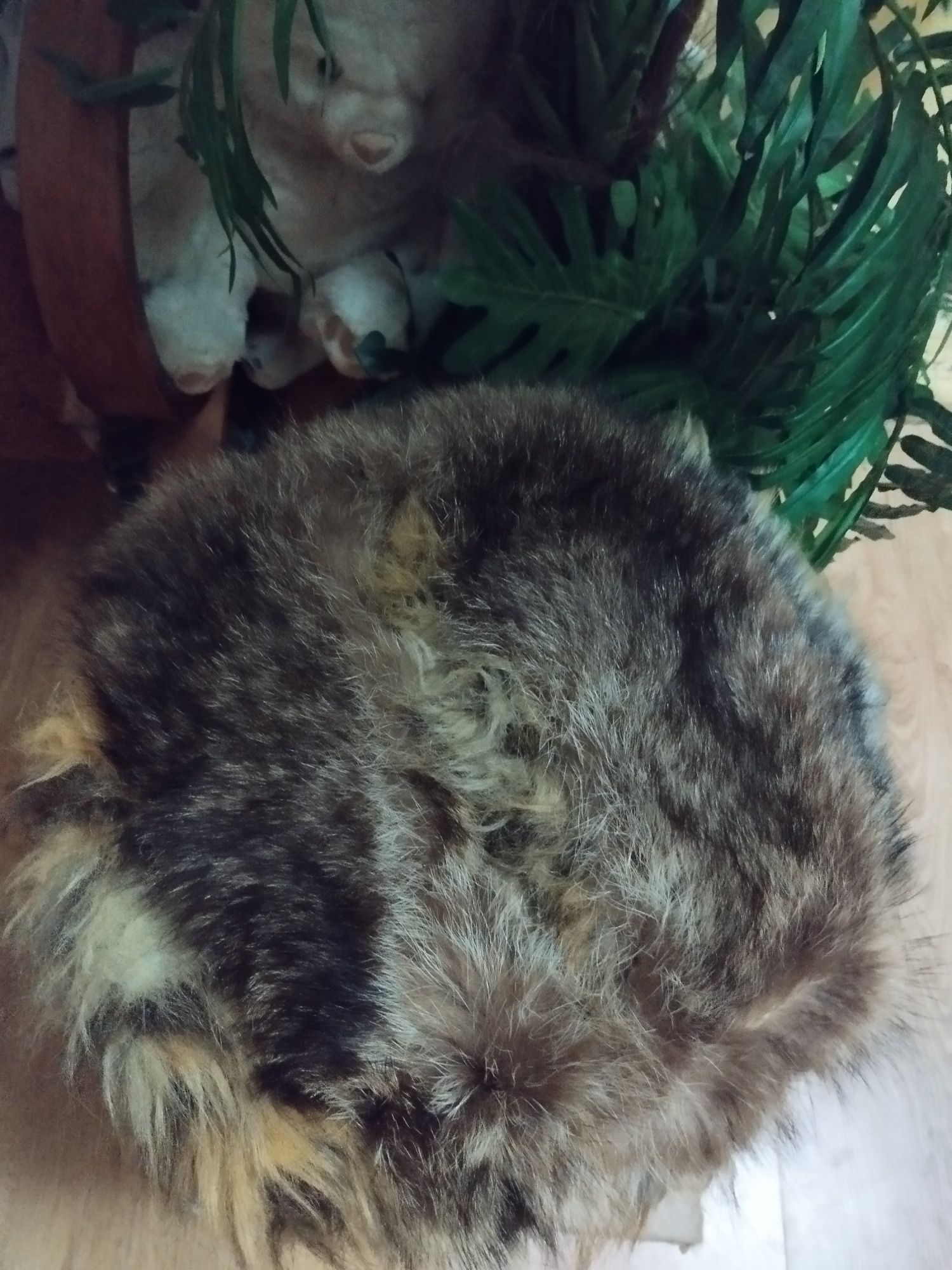 Котодрапка для котиків
