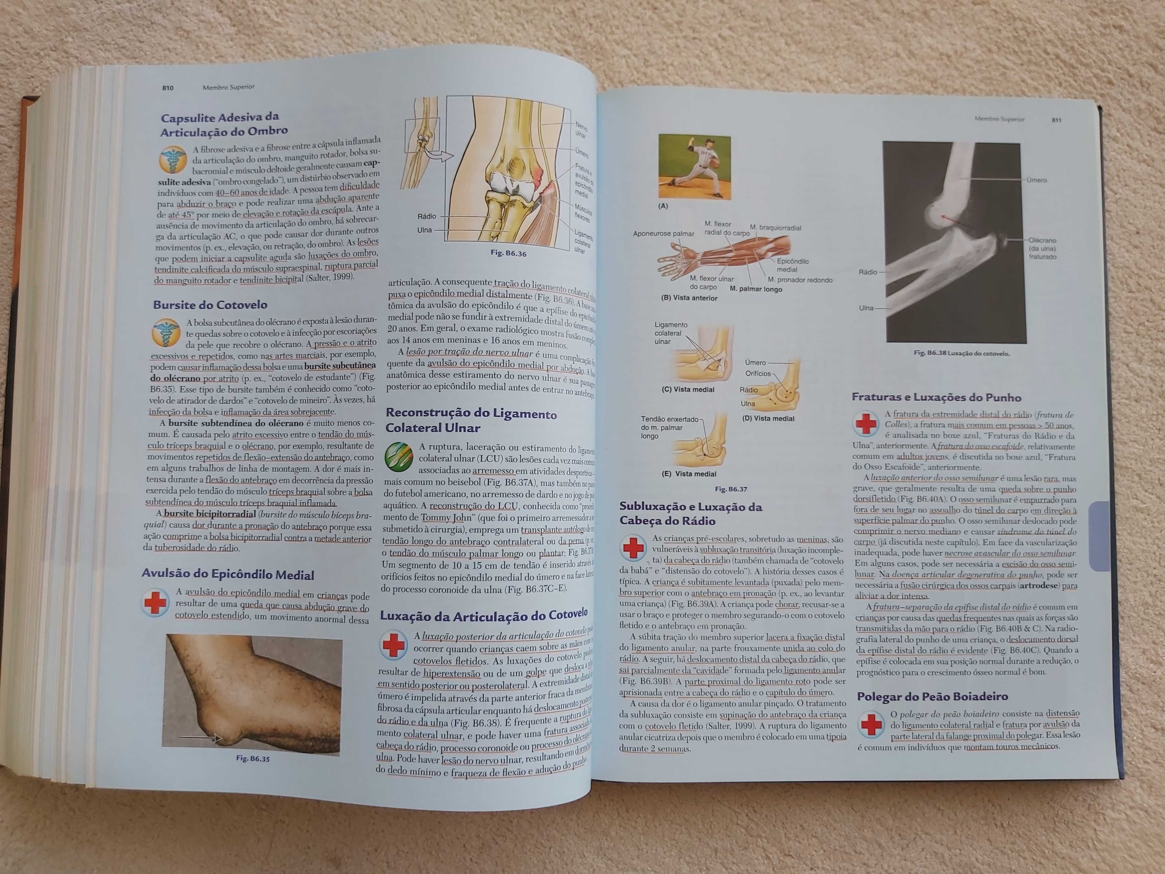 Livro Anatomia Orientada para a Clínica - Moore