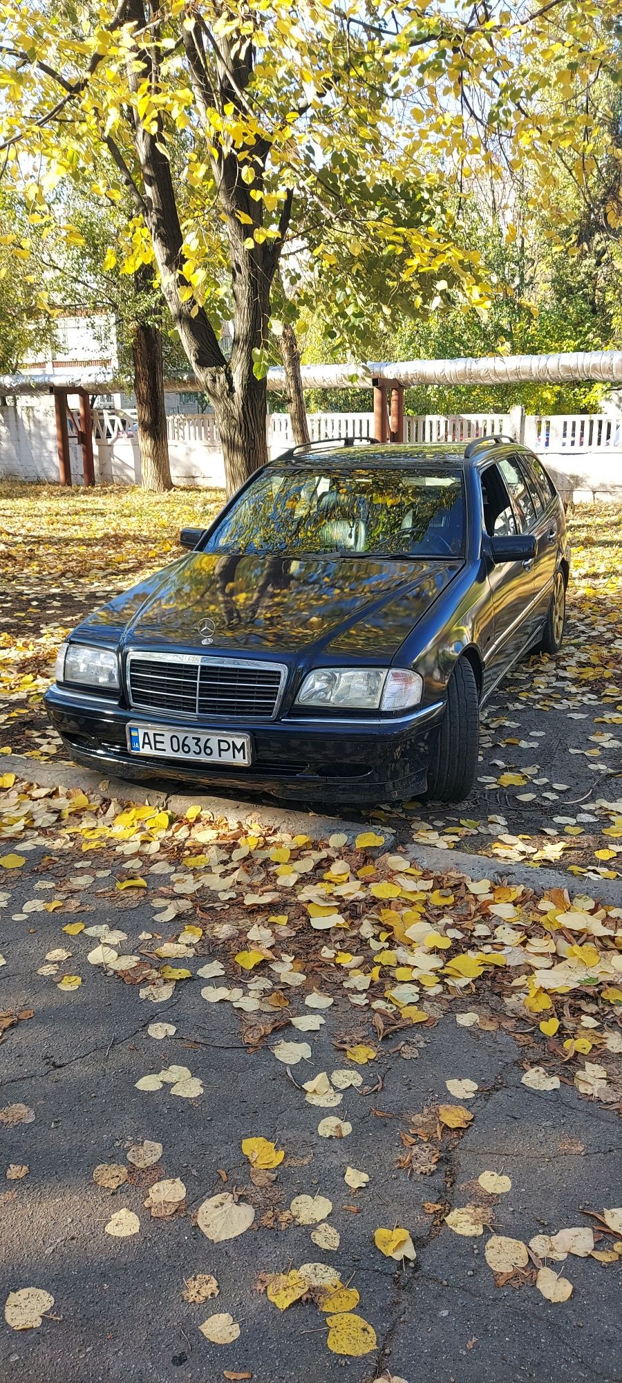 Mercedes c-class w202