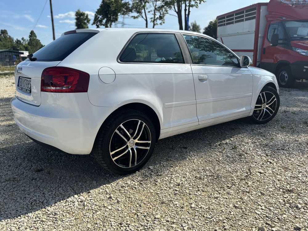 Audi A3 8P 1.6 MPI | 2009 | Bogate wyposazenie | Stan bardzo dobry