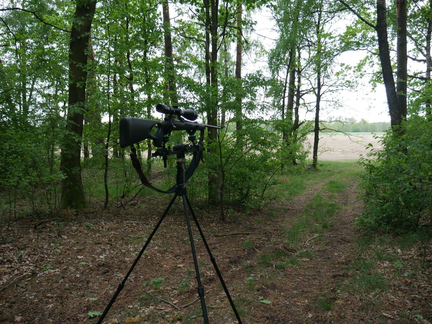 Pastorał myśliwski automatyczny Fiery Deer 4 + Wspornik 2 punkty podpa