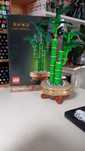 Lego lucky bamboo