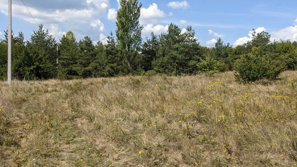 Продаж земельної ділянки на Дністрі Рудківці