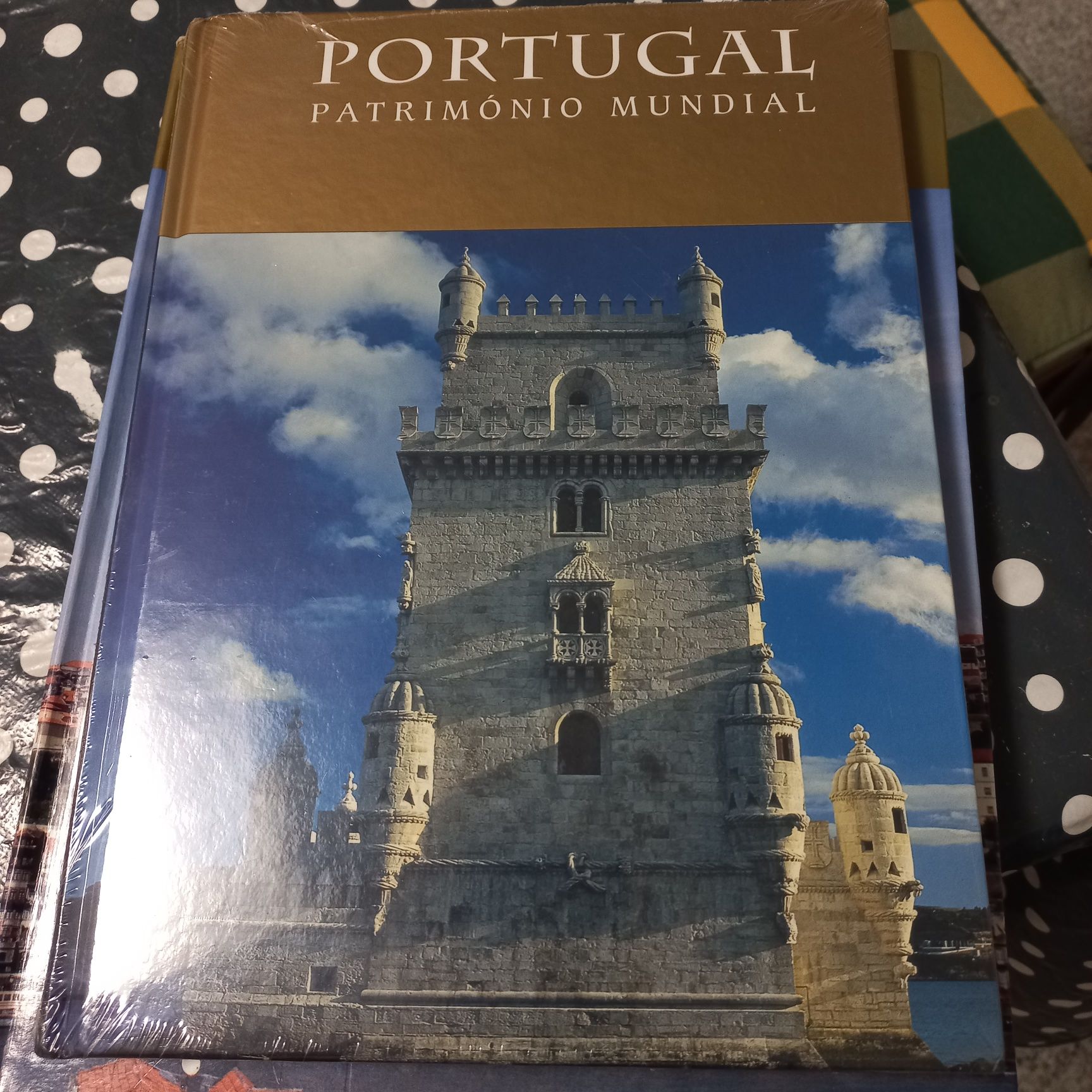 Livro Portugal patrimonio mundial