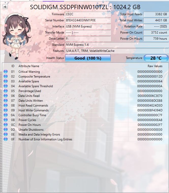 Dysk SSD Solidigm 1TB  ssdpfinw010tzl 1024GB