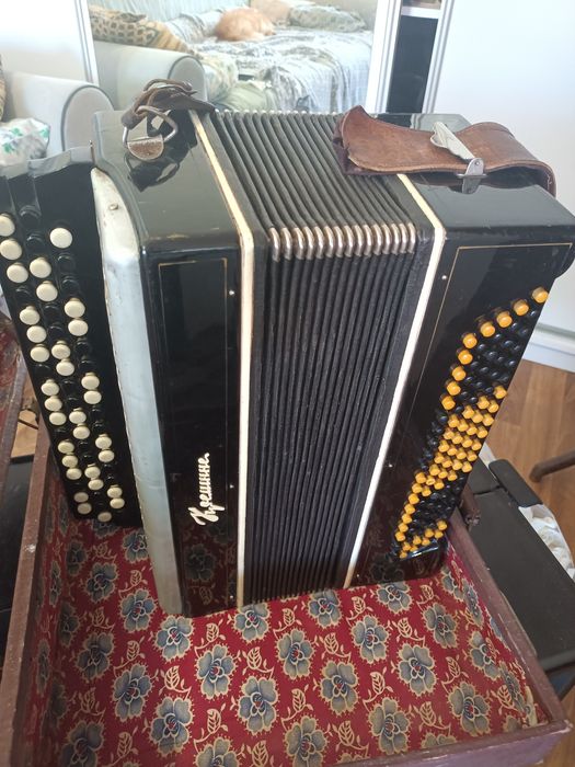 Guzikówka stan bardzo dobry brzmienie po strojeniu.