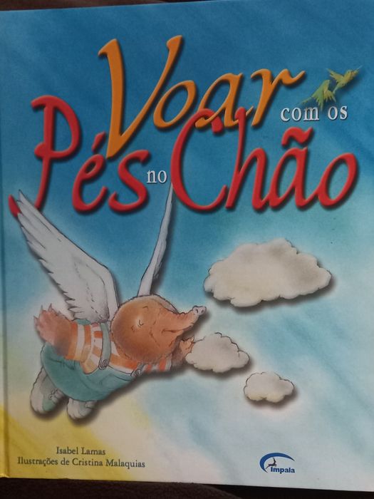 Livro Voar com os pés no chão