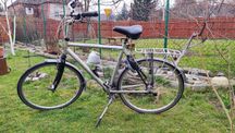 Rower męski Gazelle