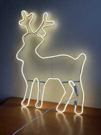 Neon lighting decoration