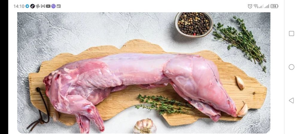 Продам м'ясо кролика