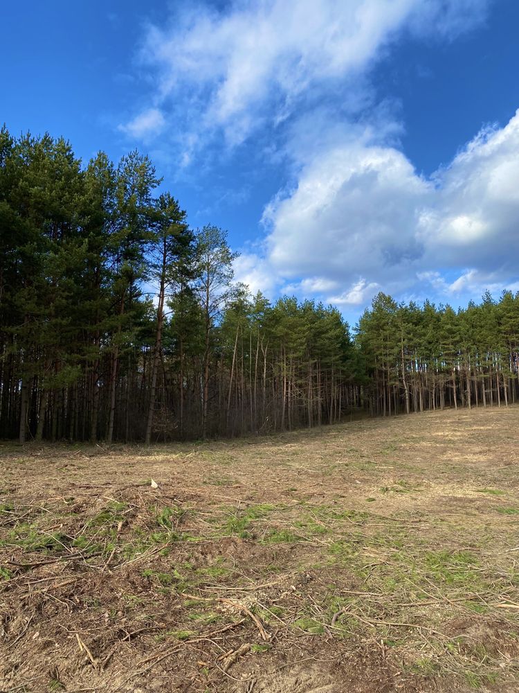 Działka przy lesie nad jeziorem Sarnowskim