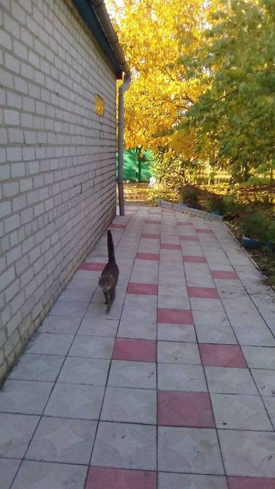 Загородный дом, 95 м2., 34 с. в Могилёве (Днепр. обл.)