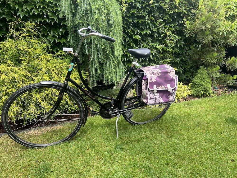 Rower Holenderka