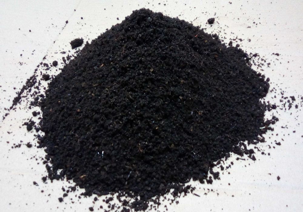 Minhocas Californianas para compostagem, pesca, alimentação de animais