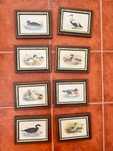 Vendo quadros únicos