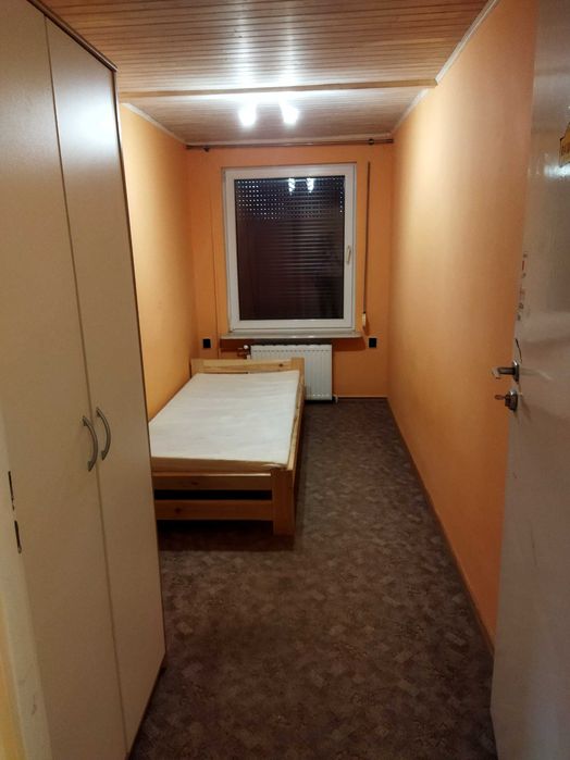 Dom na wynajem oferuje okazja suchy las