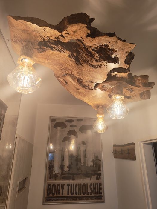 Lampa wisząca z korzenia drzewa oliwnego sznur jutowy Unikat Handmade