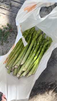 Спаржа , аспарагус , asparagus опт и розница