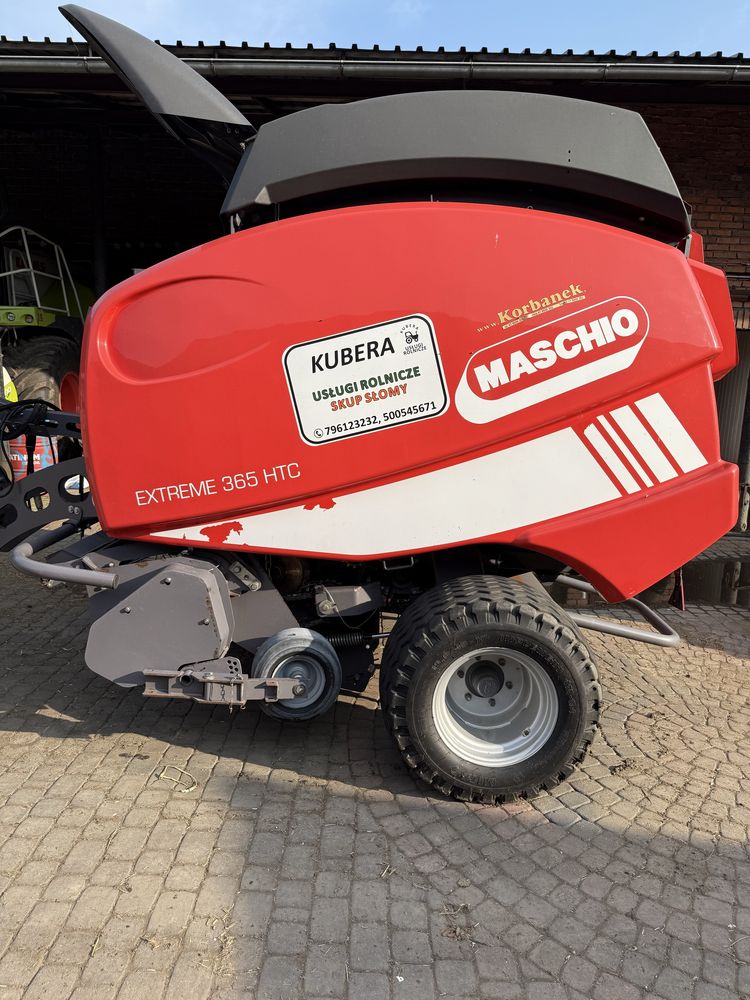 Sprzedam prase maschio extreme 365 HTC