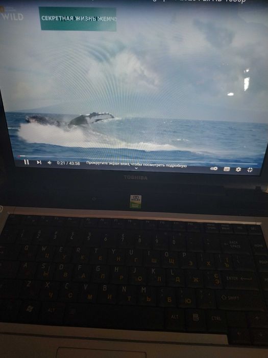 Ноутбук TOSHIBA Satellite