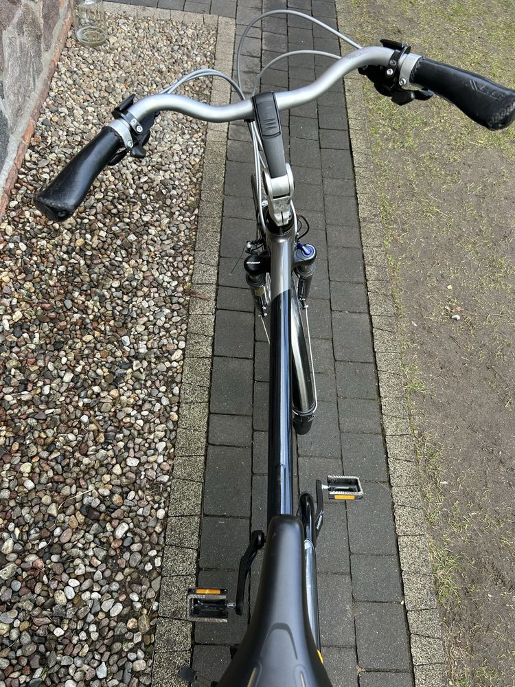 Rower trekkingowy Gazelle Arrayo