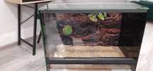 Terrarium 30x30x40