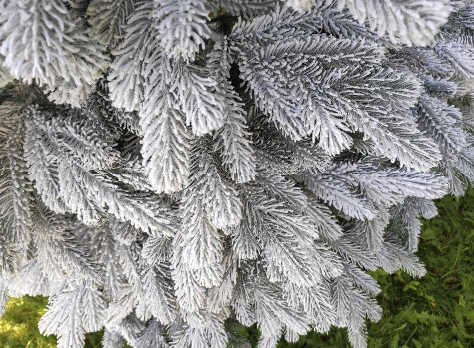 Лита ялинка Швейцарська, штучна ялинка, ялинка, сосна, елка