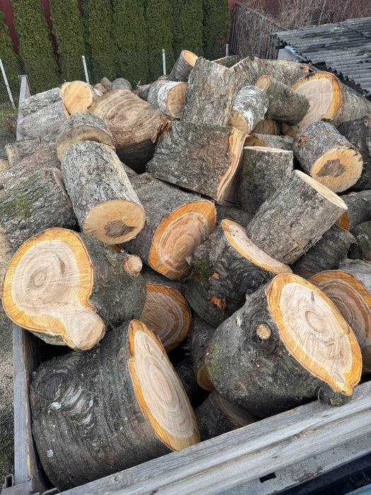 Дрова твердих та мʼяких порід