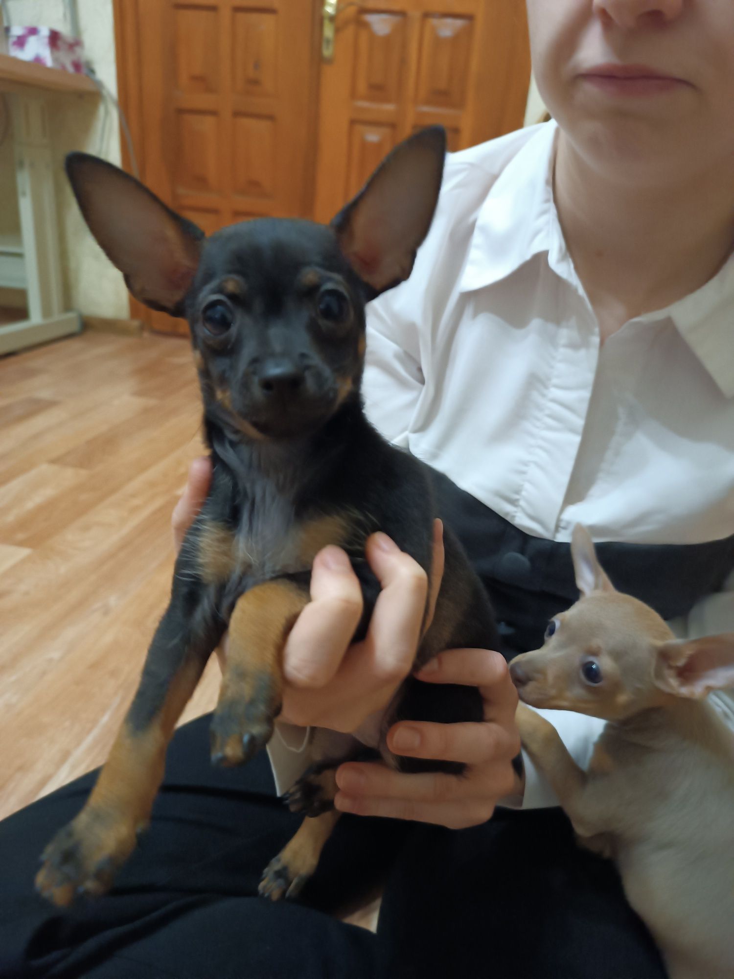 Кохання з першого погляду