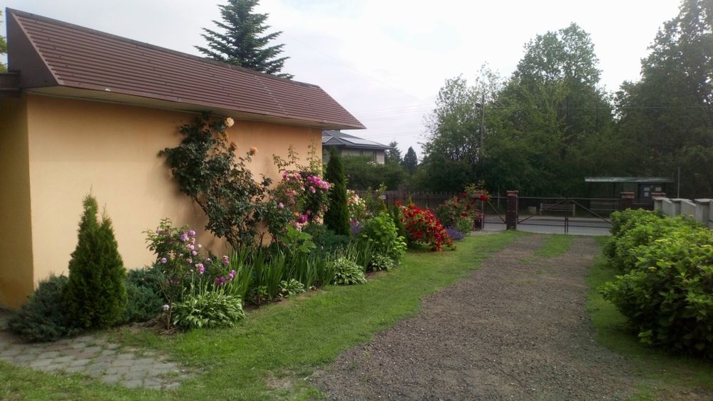 Lokal użytkowy, biurowo usługowy, 38m2  plus parking.