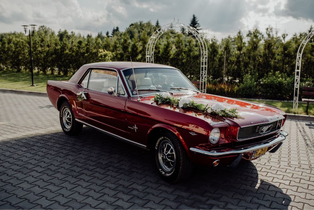 Samochód do ślubu Ford Mustang 1966r Podkarpacie/Małopolskie